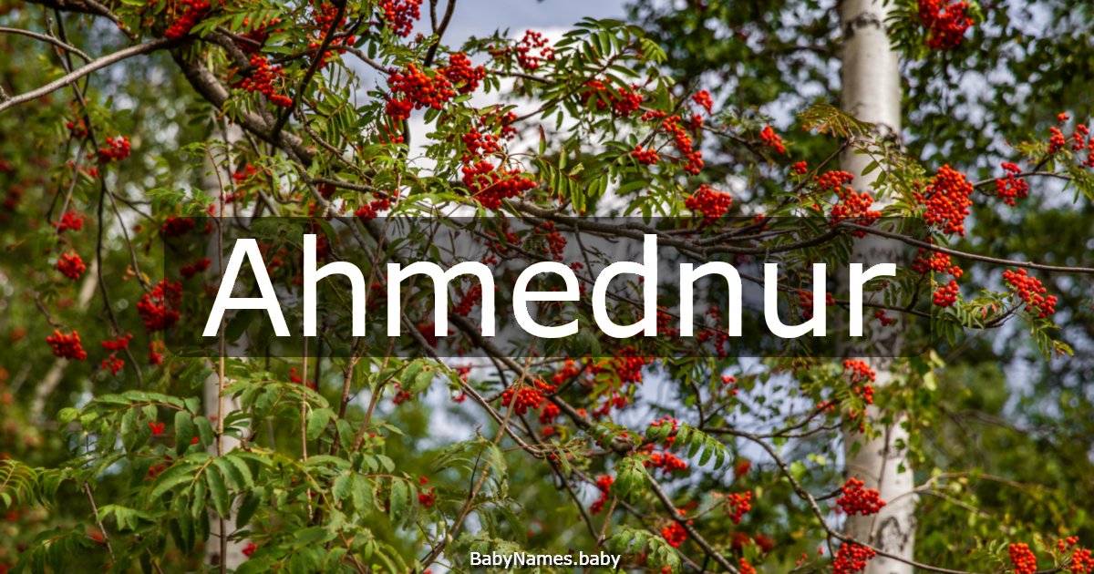 Ahmednur