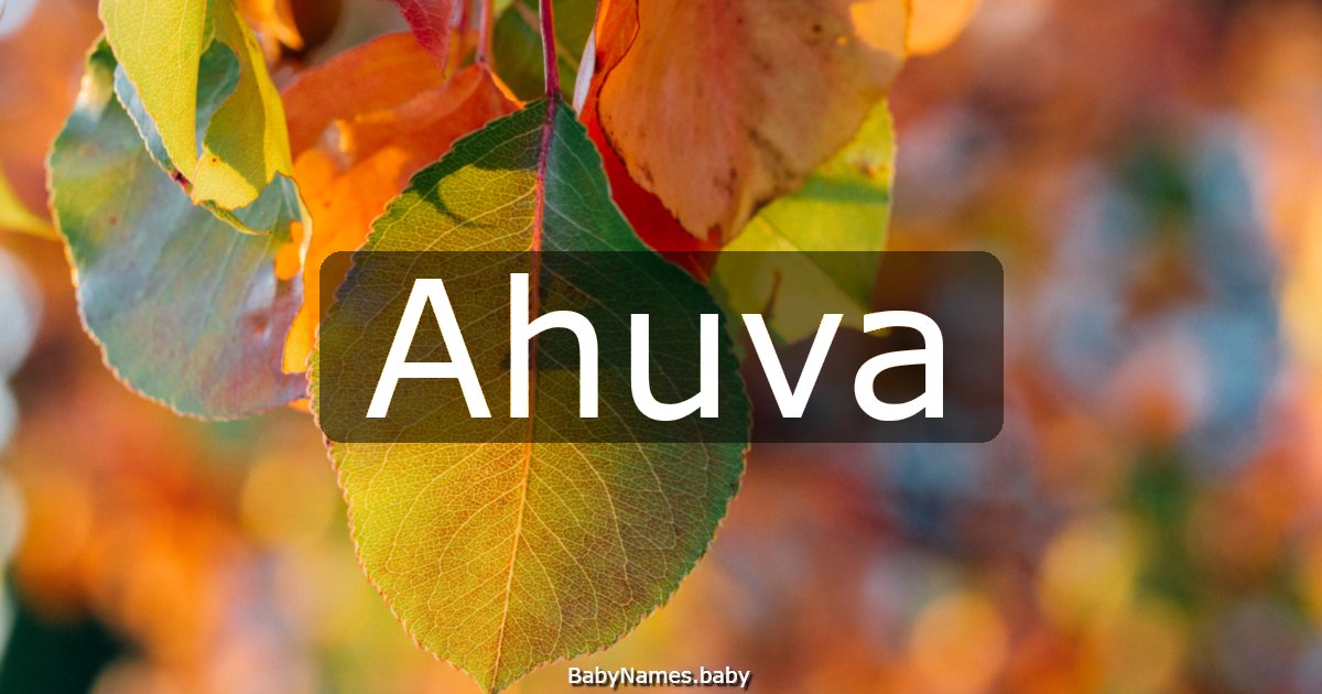 Ahuva