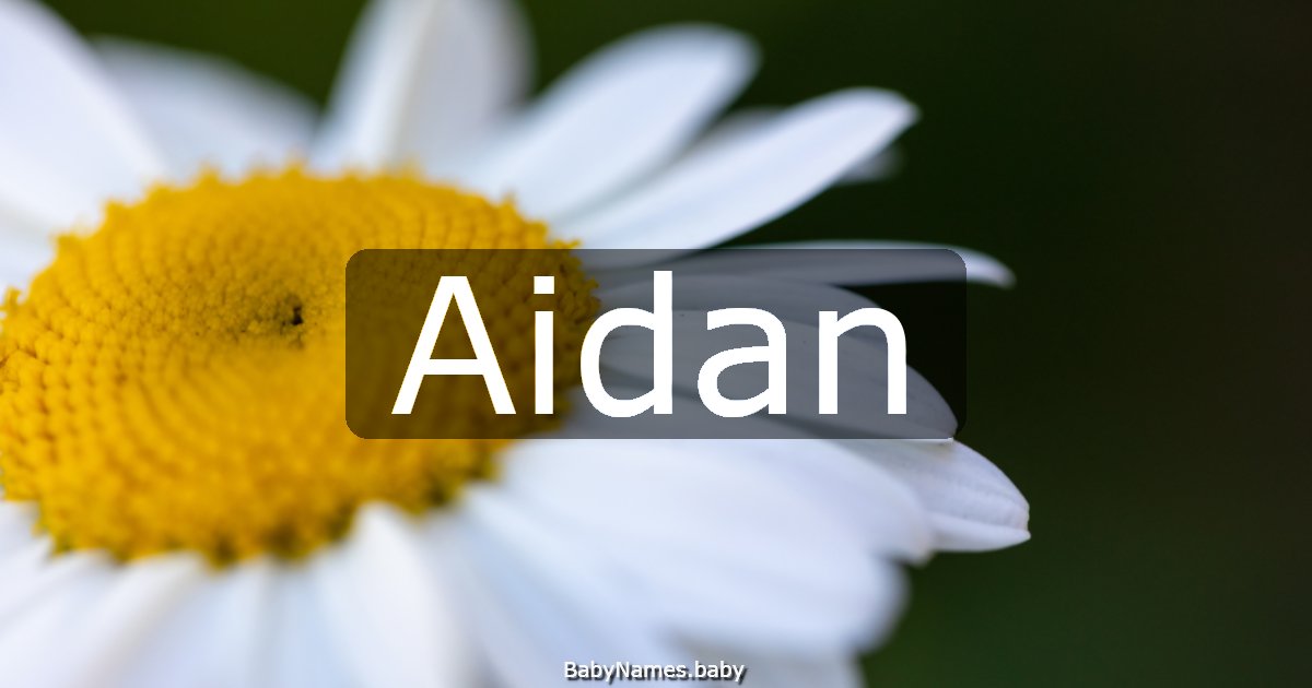 Aidan