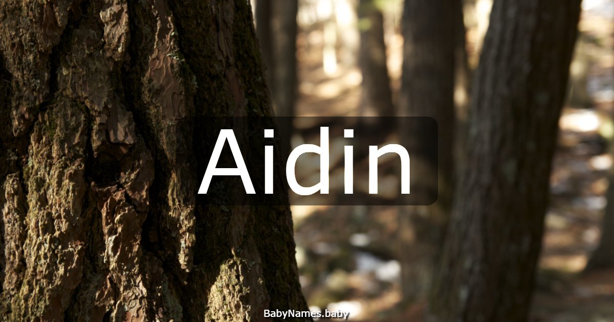 Aidin