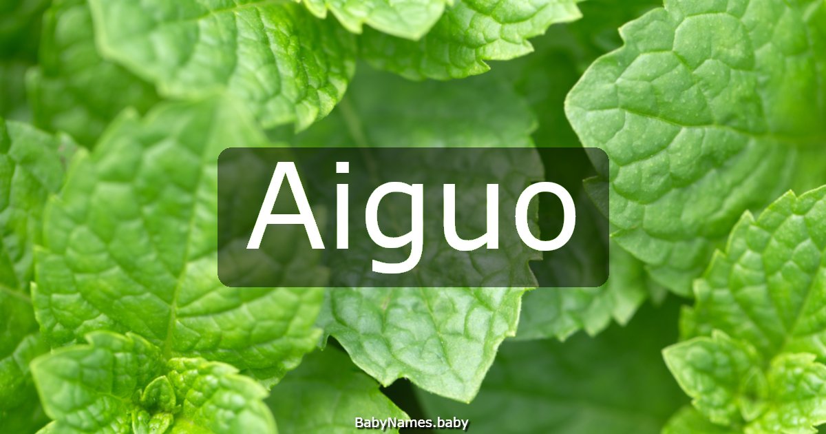 Aiguo