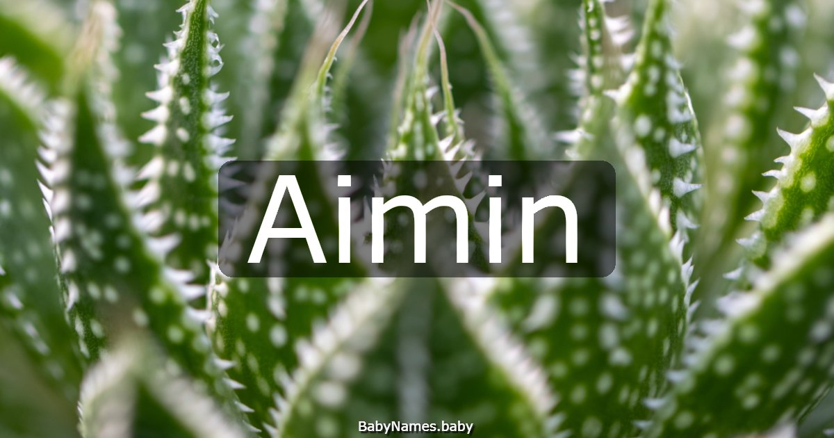 Aimin
