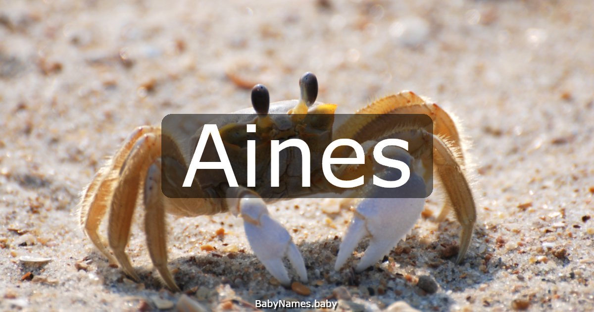 Aines