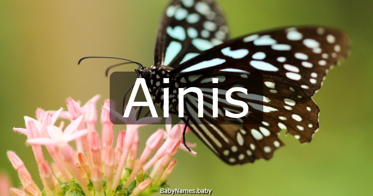 Ainis
