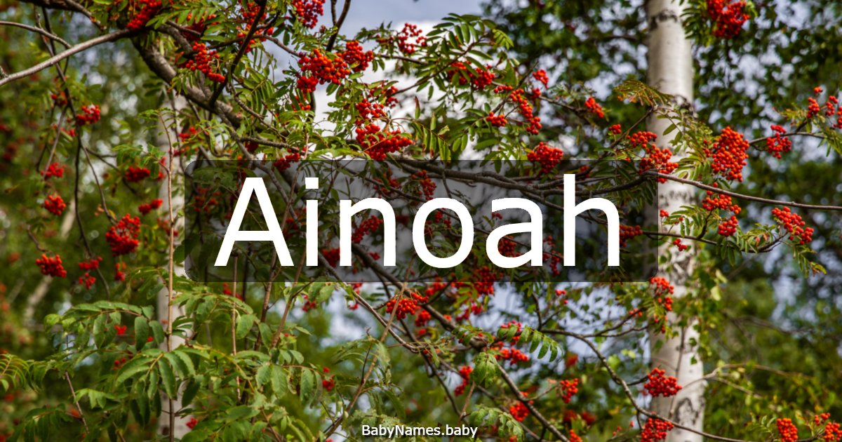 Ainoah