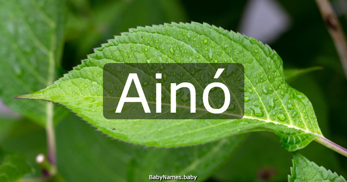 Ainó