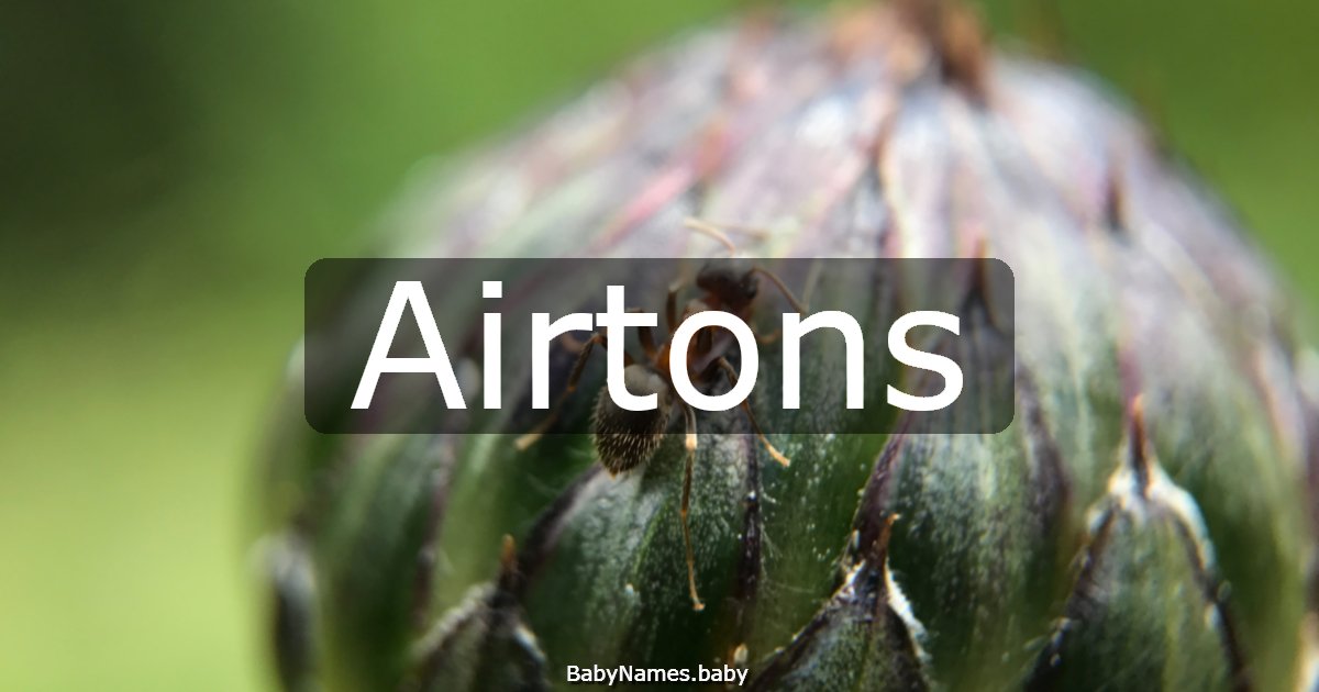 Airtons