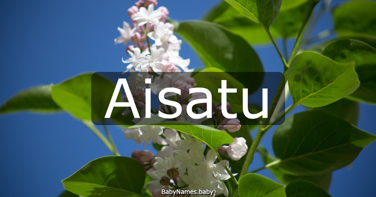 Aisatu