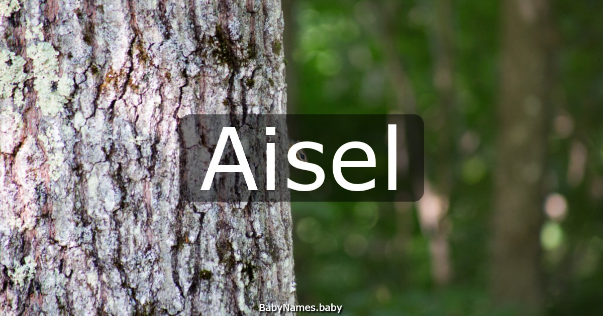 Aisel