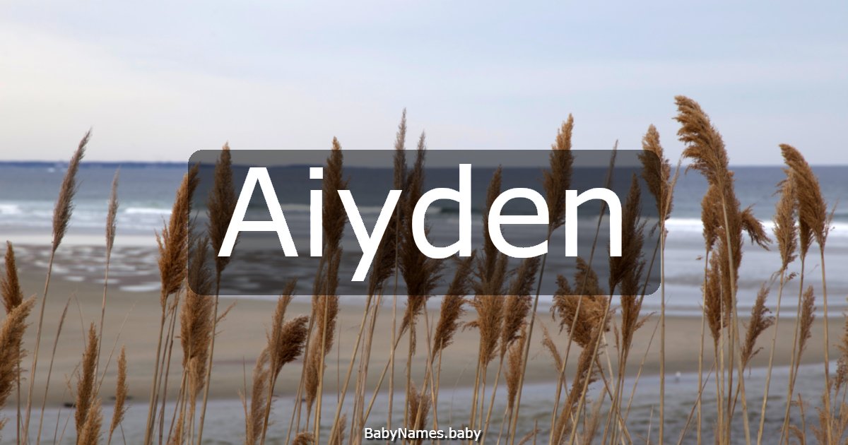 Aiyden