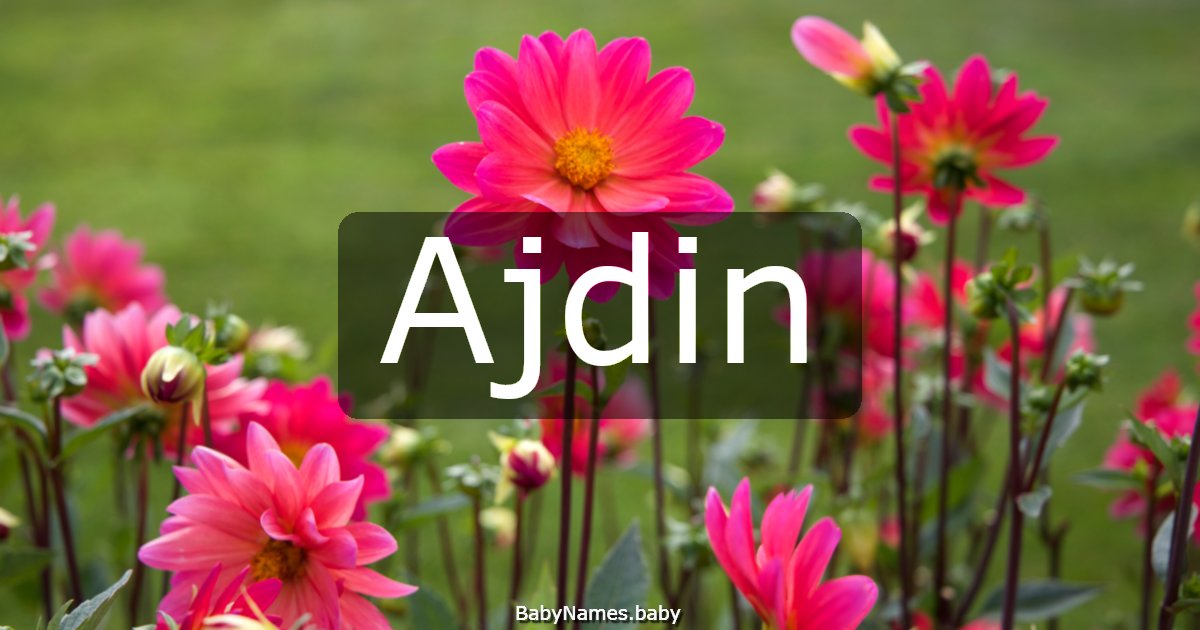 Ajdin