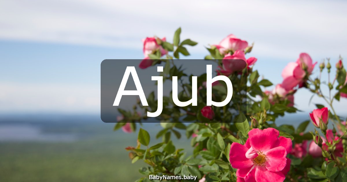 Ajub
