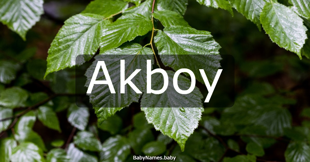Akboy