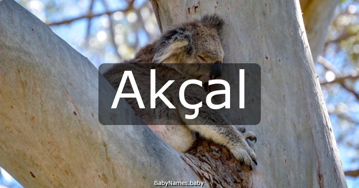 Akçal