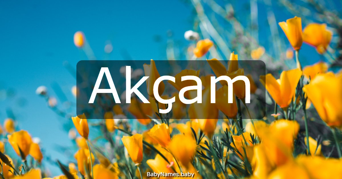 Akçam