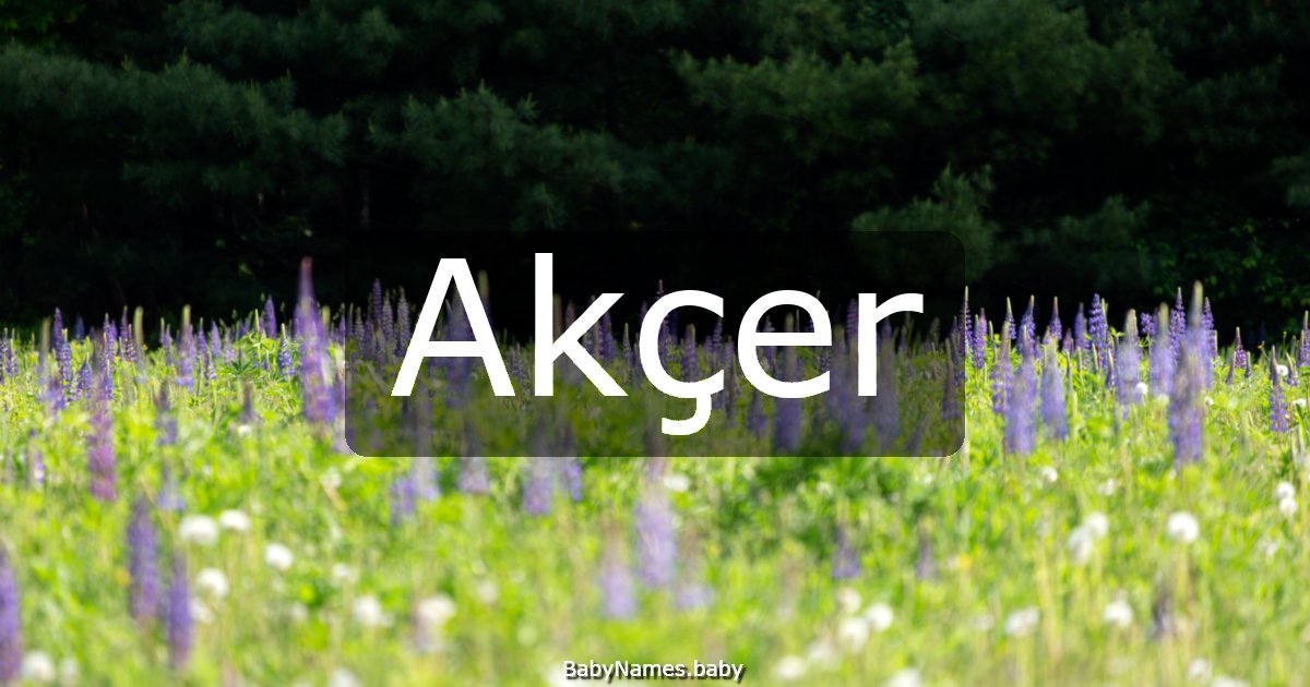 Akçer