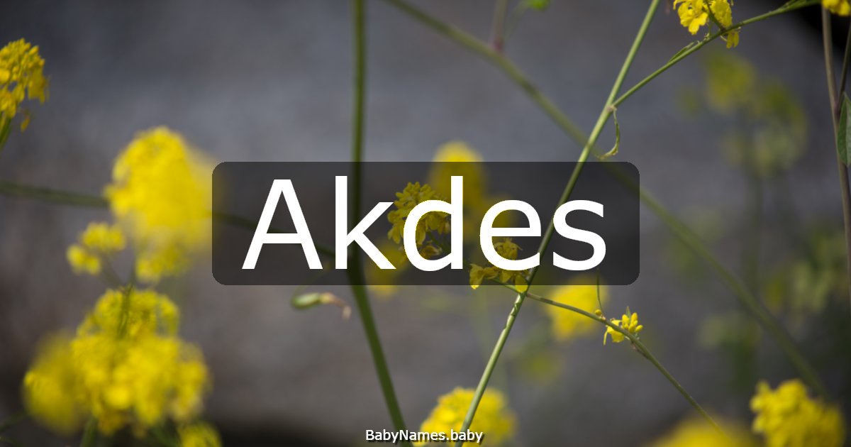 Akdes