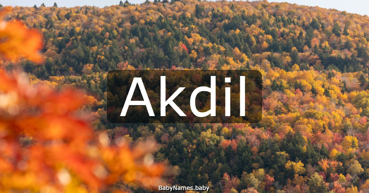 Akdil