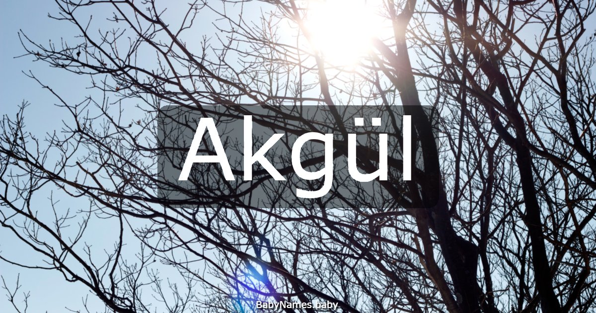 Akgül