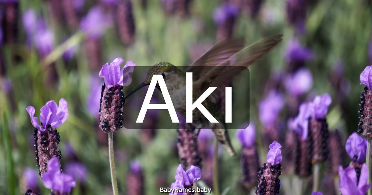 Akı
