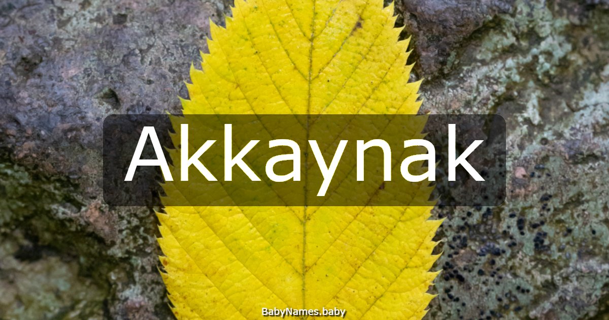 Akkaynak