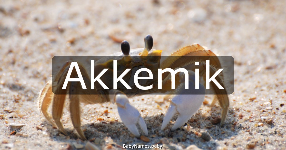 Akkemik