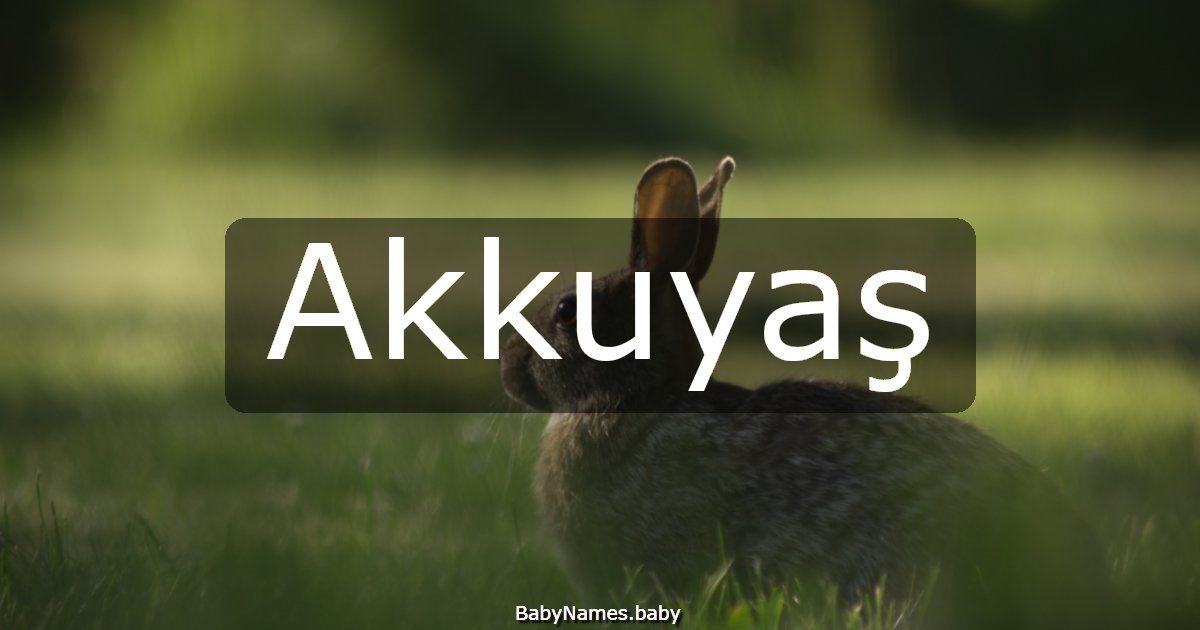 Akkuyaş