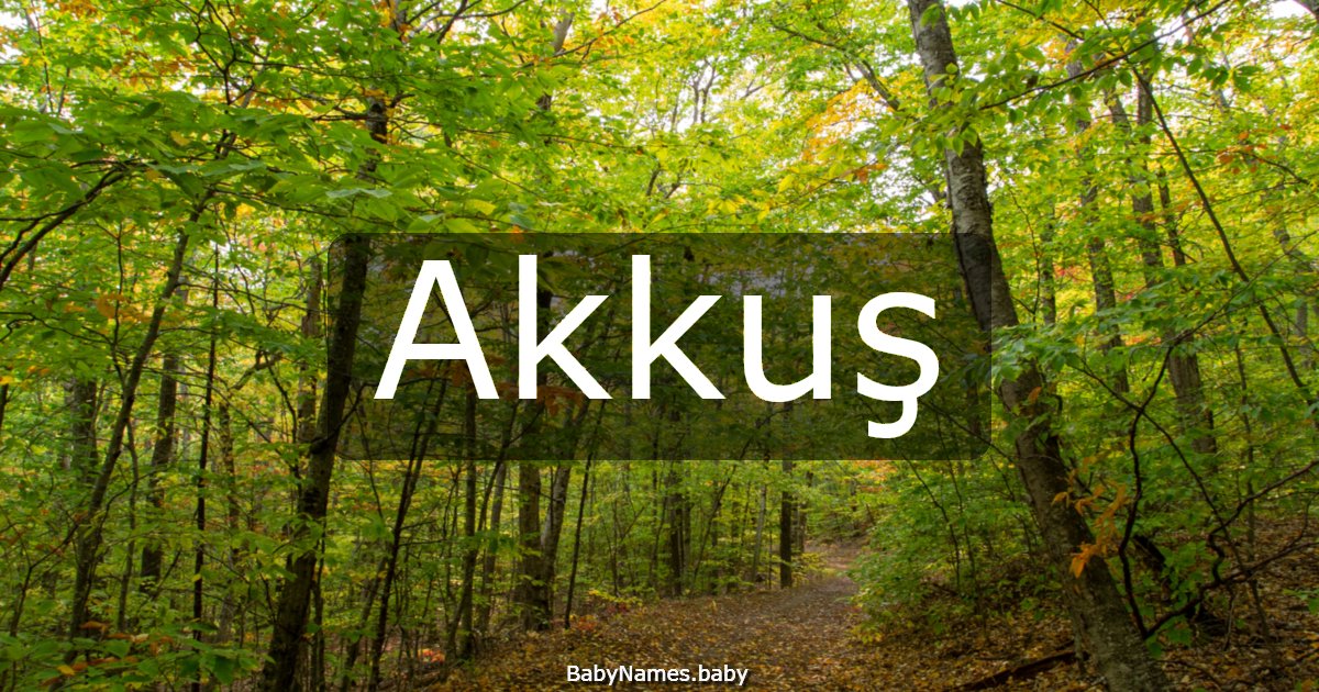 Akkuş
