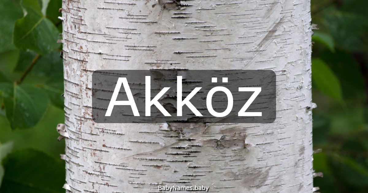 Akköz