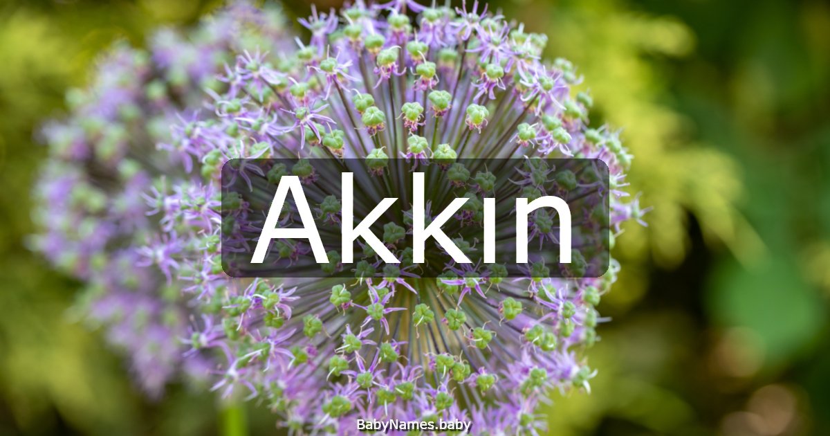 Akkın