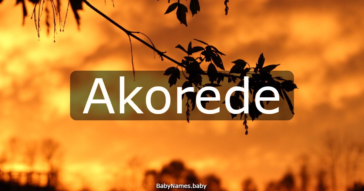 Akorede