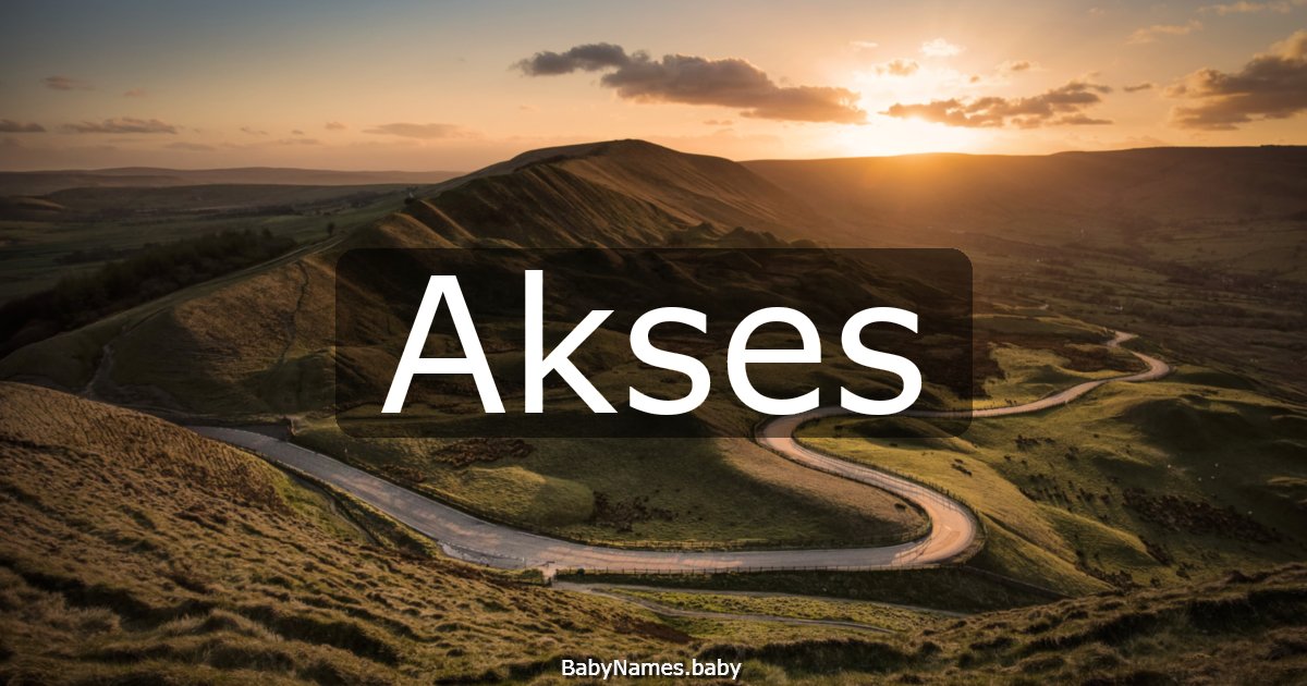 Akses
