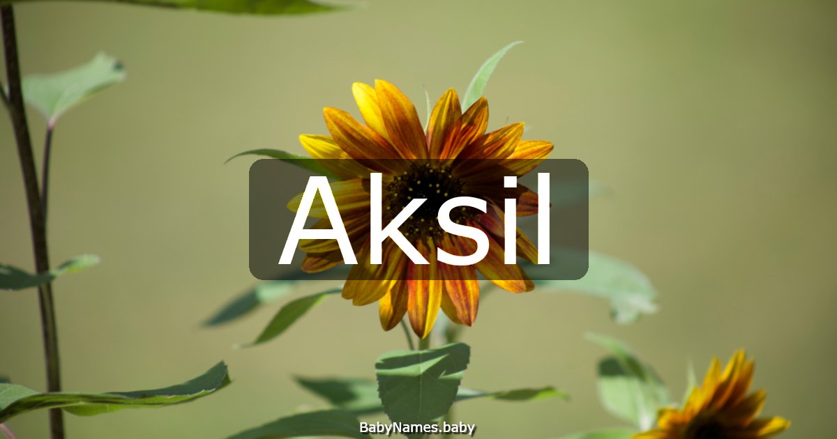 Aksil