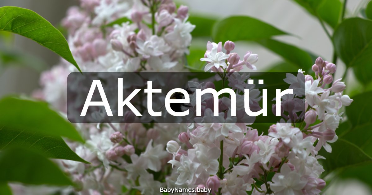 Aktemür