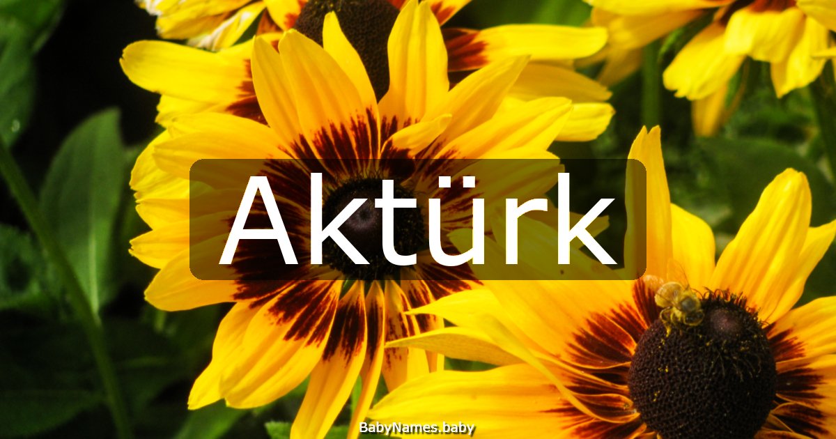 Aktürk
