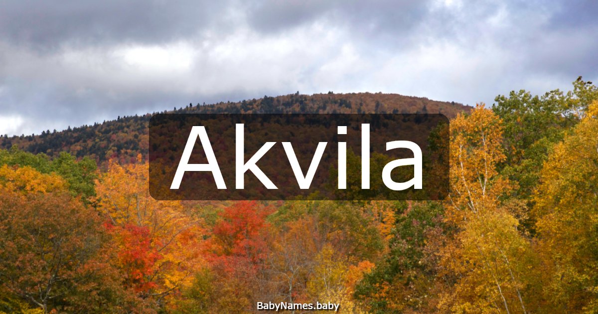 Akvila