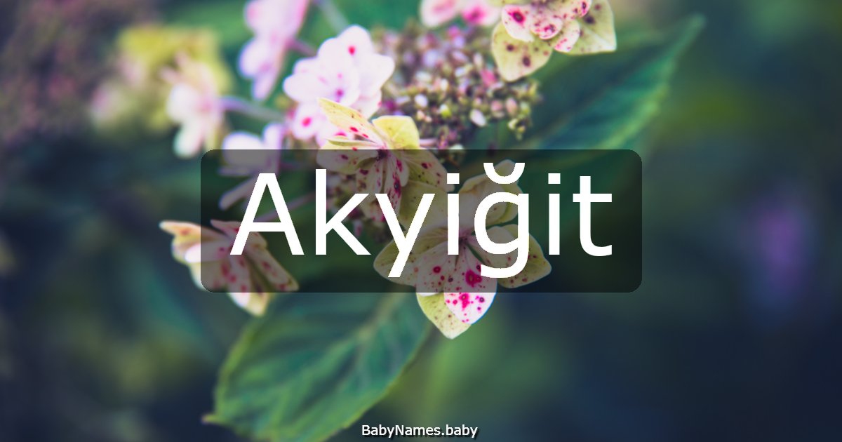 Akyiğit