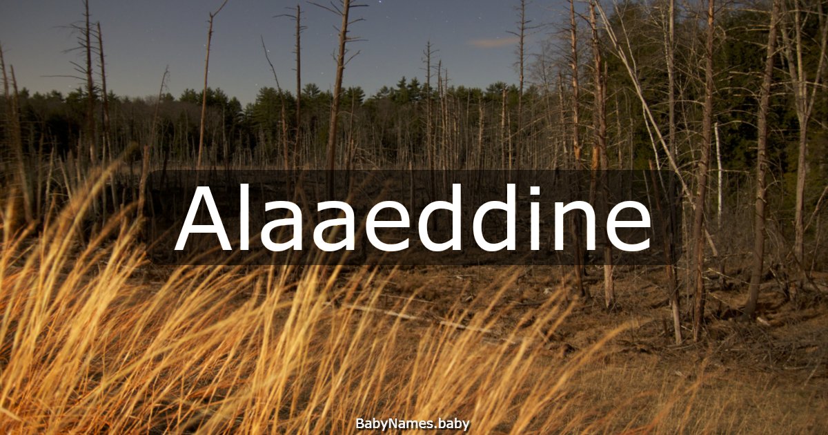Alaaeddine