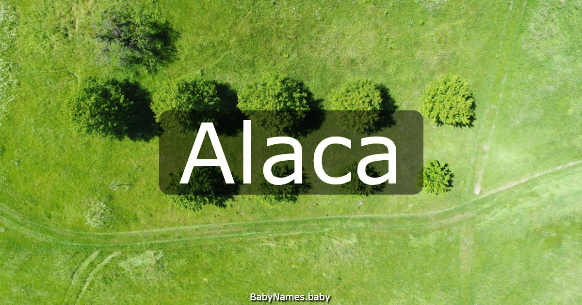 Alaca