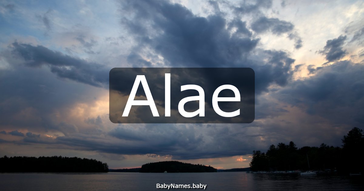 Alae