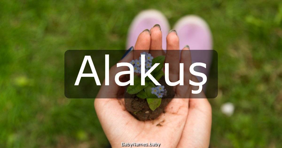 Alakuş
