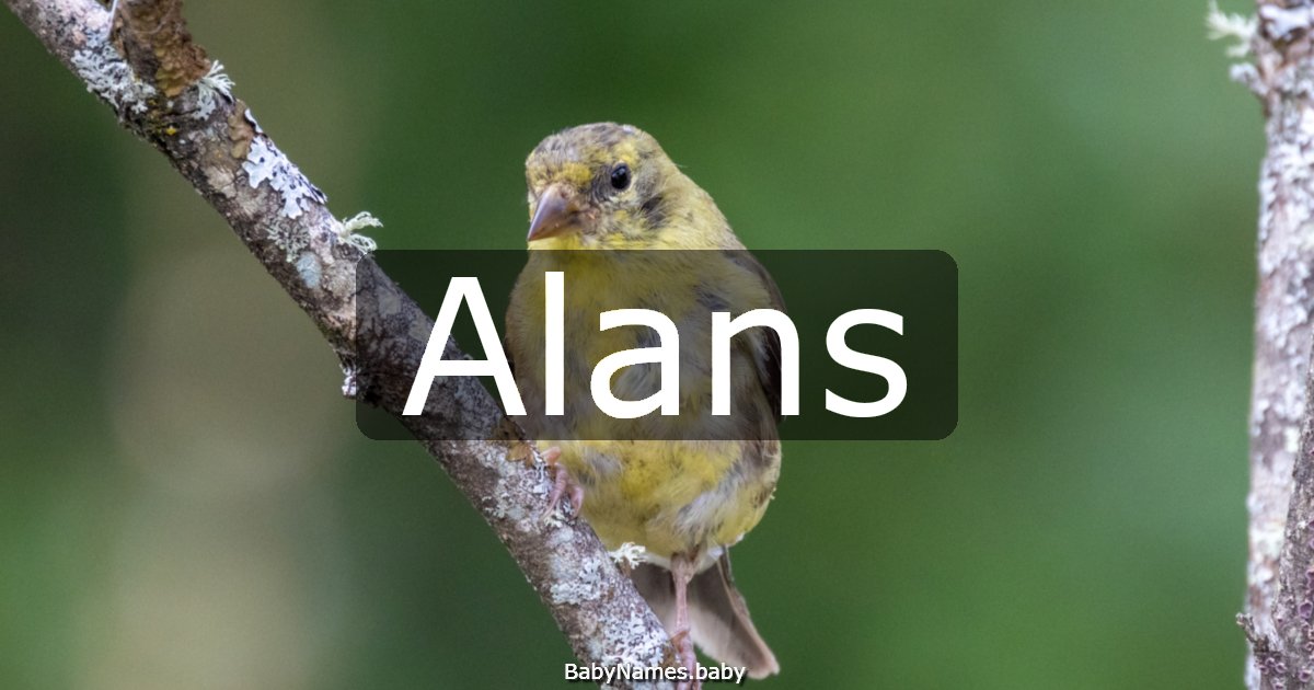 Alans