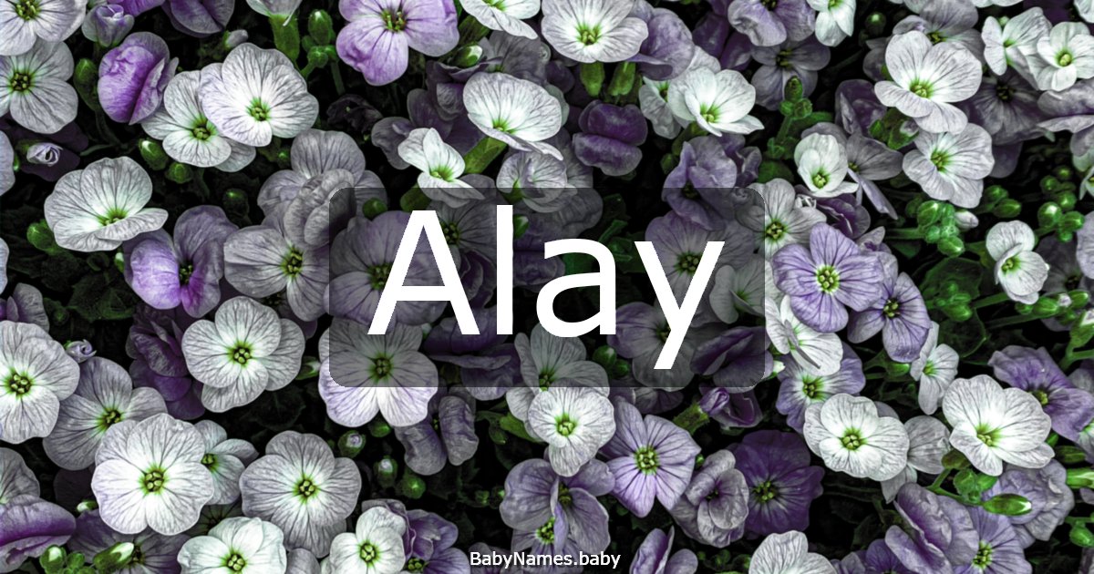 Alay