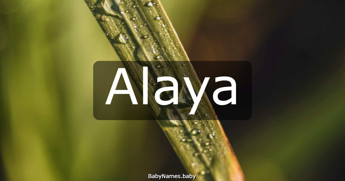 Alaya