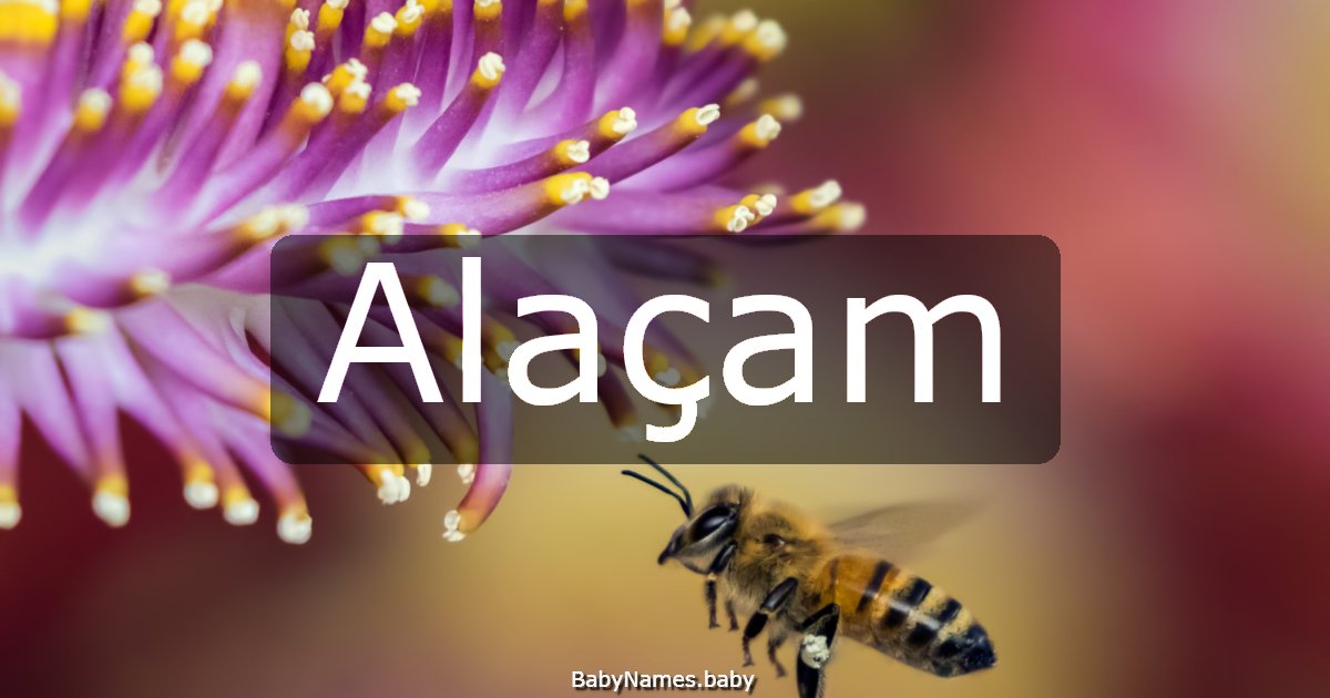 Alaçam