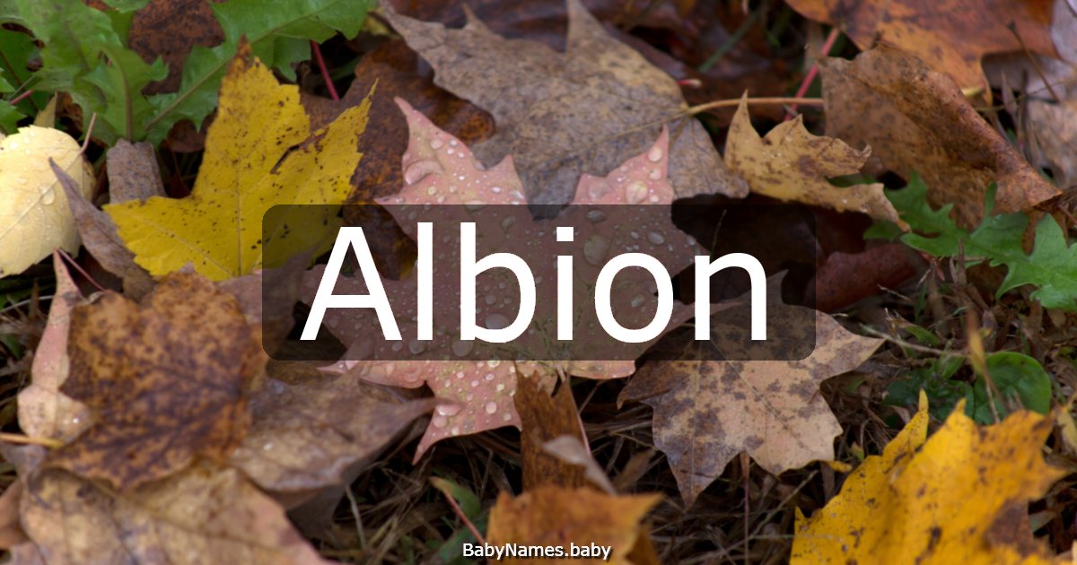 Albion
