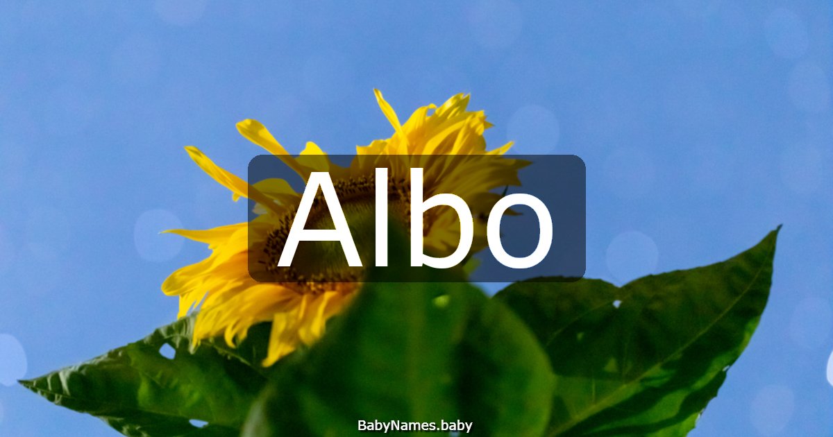 Albo