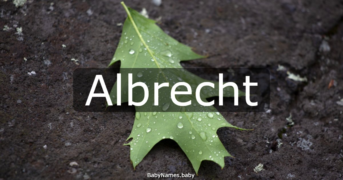 Albrecht