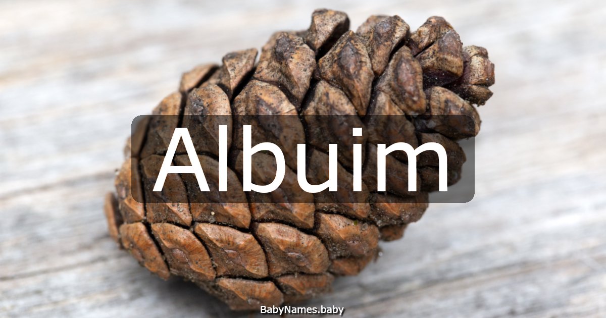 Albuim
