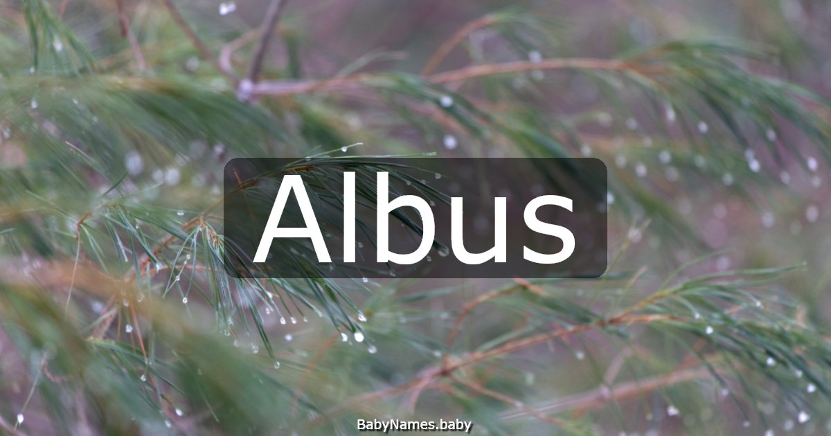 Albus